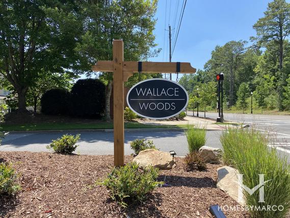 Photos of Wallace Woods subdivision in Alpharetta, GA