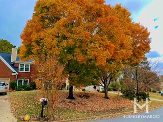 Waterford subdivision in Johns Creek, GA