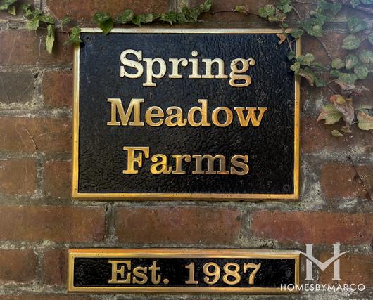 Photos of Spring Meadow Farms subdivision in Johns Creek, GA