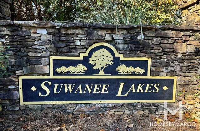 Photos of Suwanee Lakes subdivision in Suwanee, GA