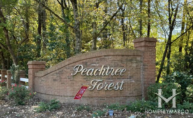 Photos of Peachtree Forest subdivision in Peachtree Corners, GA