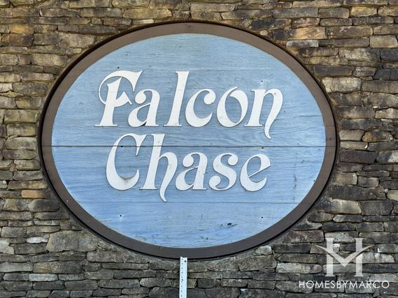 Photos of Falcon Chase subdivision in Suwanee, GA