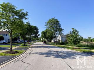 Reflections subdivision in Darien, IL