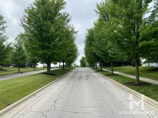Highland Woods subdivision in Elgin, IL