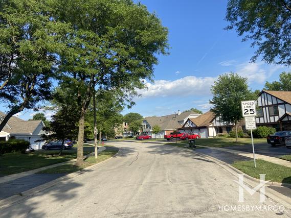 Trails Village subdivision in Roselle, IL