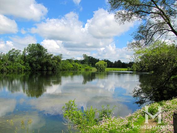 Arbor Lakes subdivision in Green Oaks, IL