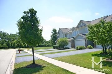 West Lake subdivision in Cary, IL