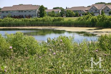 West Lake subdivision in Cary, IL