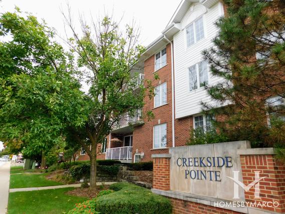 Photos of Creekside Pointe subdivision in Barrington, IL