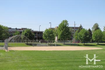 Windsor Woods subdivision in Arlington Heights, IL