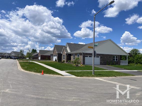 Heather Glen subdivision in New Lenox, IL