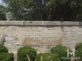Fieldstone subdivision in Burr Ridge, IL