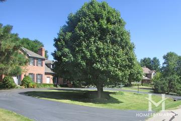 Steeple Run Estates subdivision in Crystal Lake, IL