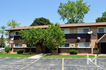 Arbor Park subdivision in Downers Grove, IL