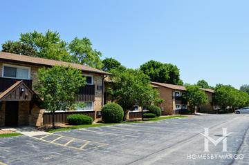 Arbor Park subdivision in Downers Grove, IL