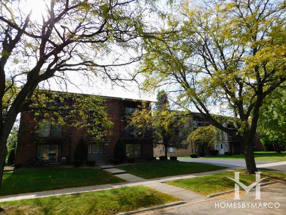 Treetop subdivision in Orland Park, IL