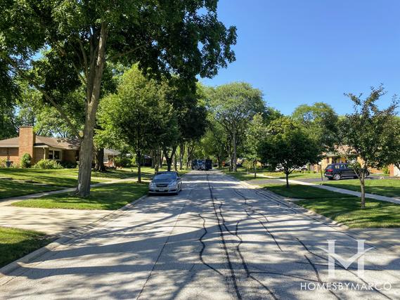 Busse Triangle subdivision in Mount Prospect, IL