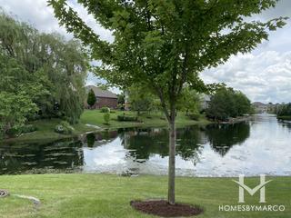 Fountain Hills subdivision in Orland Park, IL
