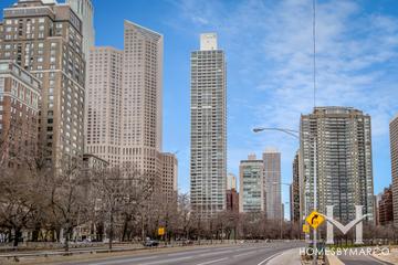 1000 Lake Shore Plaza building in the Rush & Division neighborhood of Chicago, IL