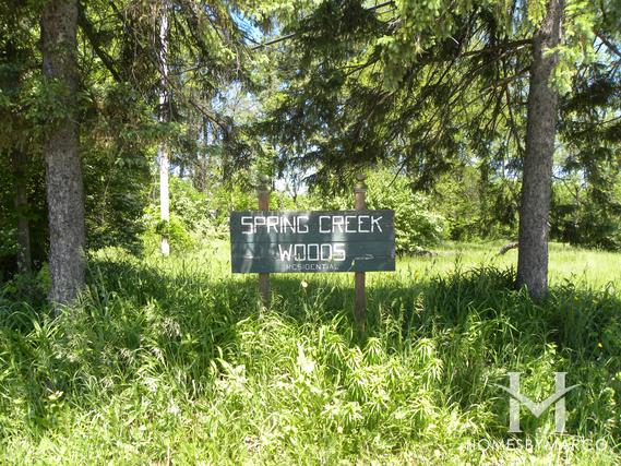 Spring Creek Woods subdivision in Homer Glen, IL