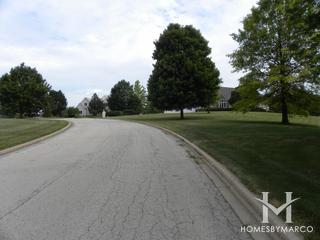 Woods of Silver Glen subdivision in St. Charles, IL