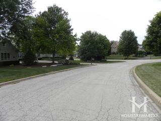 Woods of Silver Glen subdivision in St. Charles, IL