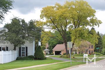 Arrowhead East subdivision in Wheaton, IL