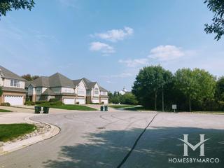 Abbey Woods subdivision in Darien, IL