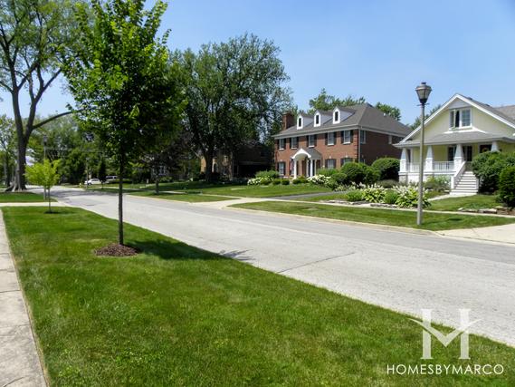 The Premier Collection subdivision in Elmhurst, IL