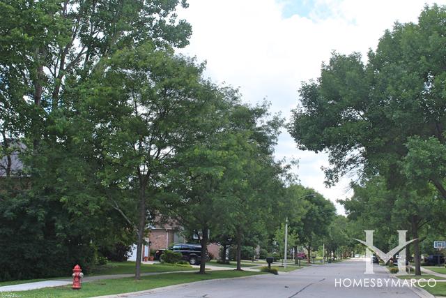 Somerset Courts subdivision in Arlington Heights, IL