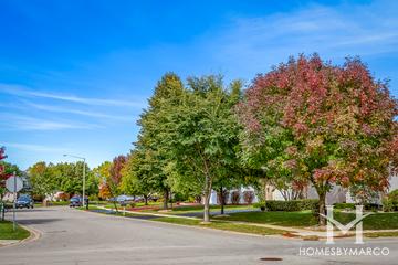 Wedgewood subdivision in Plainfield, IL