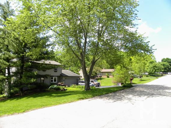 Gaslight South subdivision in Algonquin, IL