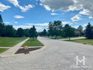 Tally Ho subdivision in New Lenox, IL