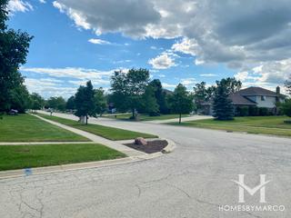 Tally Ho subdivision in New Lenox, IL
