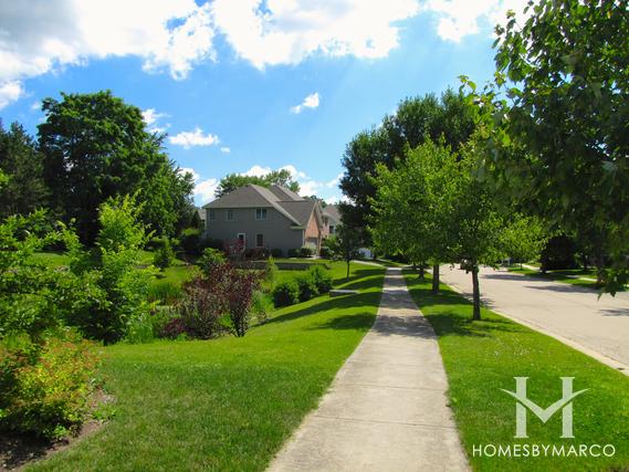 Ancient Oaks subdivision in Lake Zurich, IL