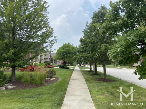 Birch Path subdivision in Lemont, IL