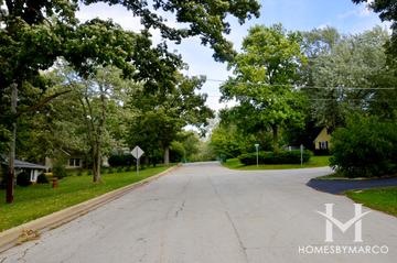Echo Lake subdivision in Lake Zurich, IL