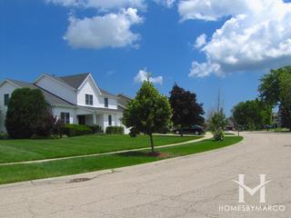 Cedar Creek subdivision in Lake Zurich, IL