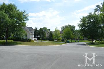 Herons Crossing subdivision in Kildeer, IL