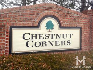 Chestnut Corners subdivision in Lake Zurich, IL
