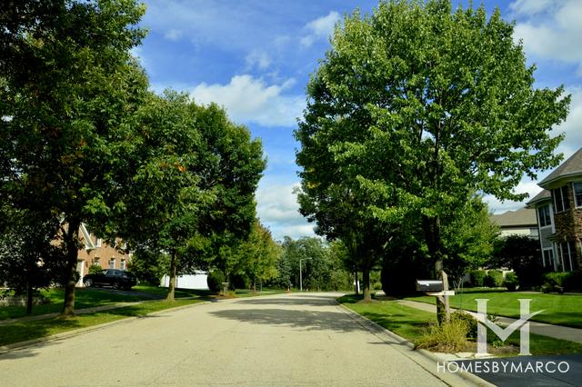 Lions Gate subdivision in Lake Zurich, IL