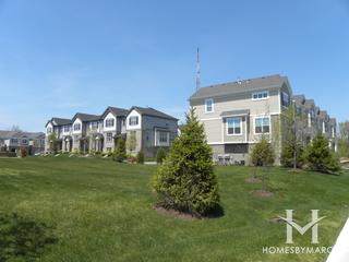 Lexington Heritage subdivision in Arlington Heights, IL