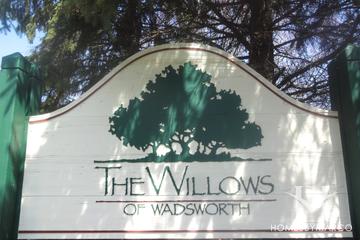 Willows of Wadsworth subdivision in Wadsworth, IL