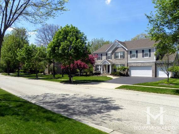 Arbor Hills subdivision in Algonquin, IL