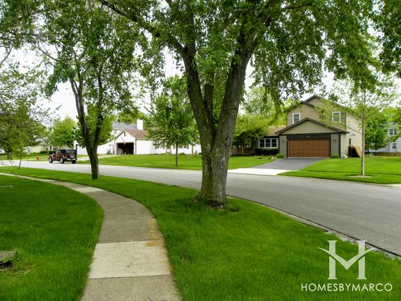 Carrington subdivision in Algonquin, IL