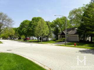 Cedarwood subdivision in Algonquin, IL