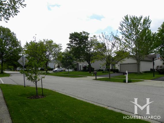 Photos of Cinnamon Creek subdivision in Algonquin, IL