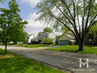 Copper Oaks subdivision in Algonquin, IL