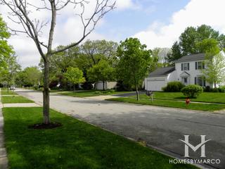 Copper Oaks subdivision in Algonquin, IL