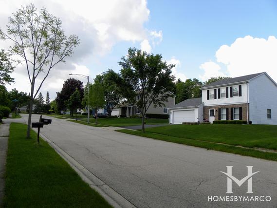 Eagle Ridge subdivision in Algonquin, IL